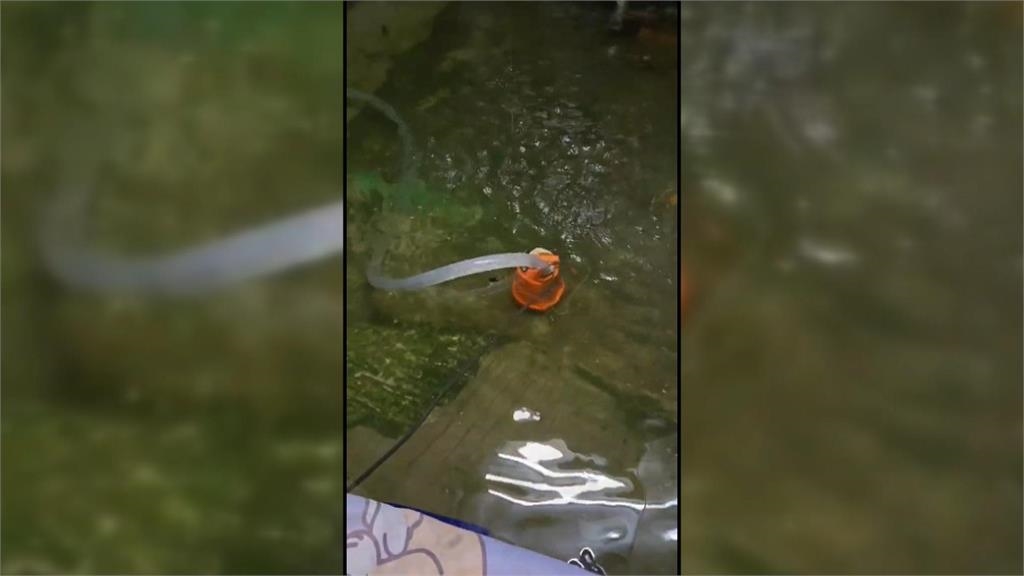 獨居老婦家中淹水逾一週! 兒事後才知「未列淹水戶」氣炸