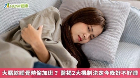 大腦趁睡覺時偷加班? 醫揭2大機制決定今晚好不好睡