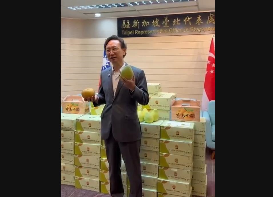 全國首櫃文旦外銷新加坡 黃偉哲:台南品質受星國肯定