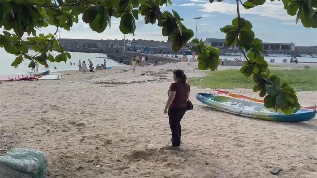 嬌客出沒!海豚疑迷航闖入杉福漁港 小琉球遊客見狀驚呼連連
