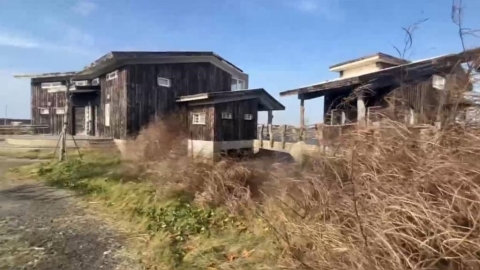 蚊子館! 台西海口生活館空置4年 步道破損鏽跡斑斑雜草近人高