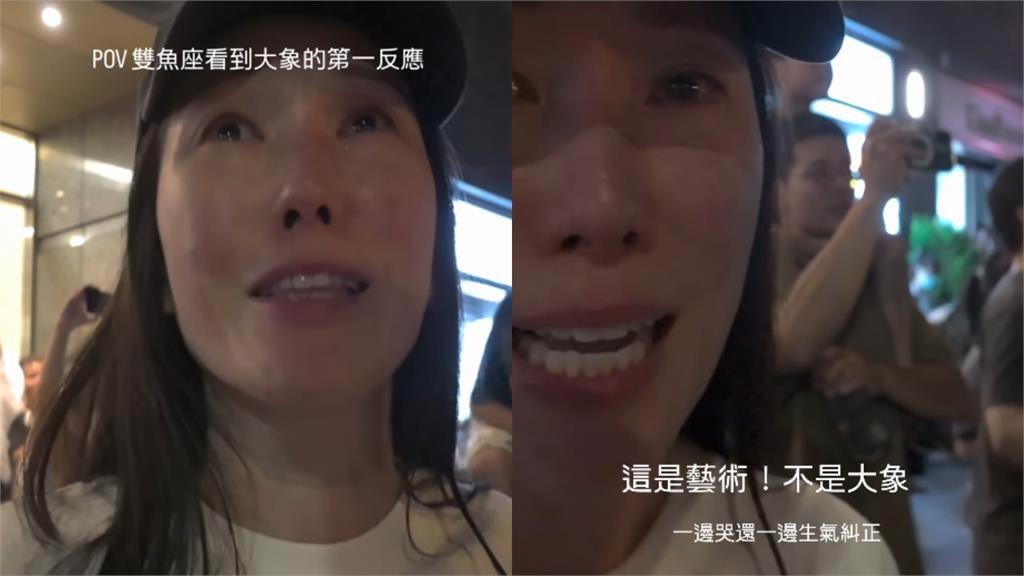 士林驚見「5米金屬巨象」!KIMIKO直擊「1幕」爆哭:這是藝術…震撼畫面全被拍