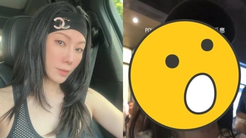 士林驚見「5米金屬巨象」!KIMIKO直擊「1幕」爆哭:這是藝術…震撼畫面全被拍