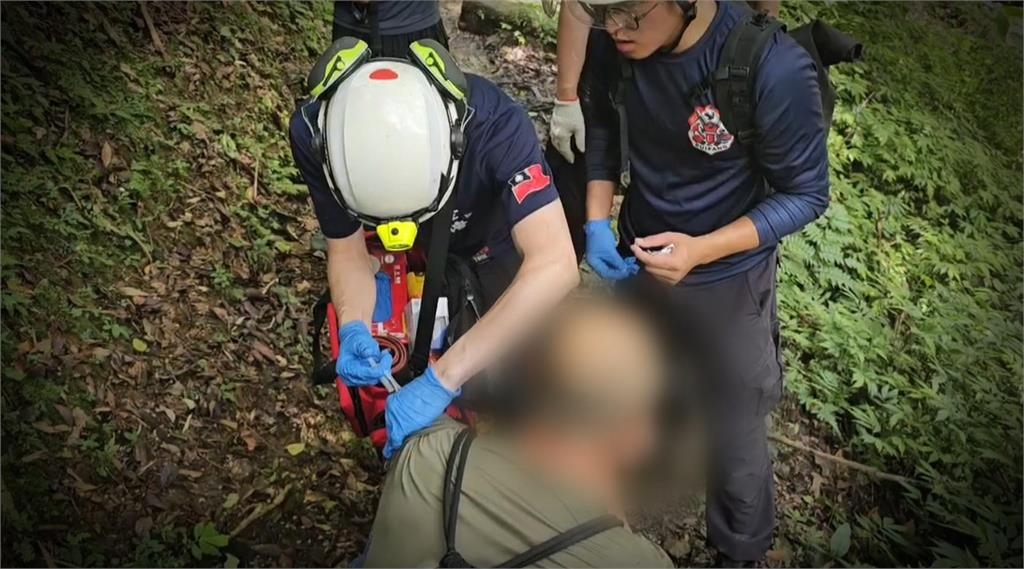 異言堂/聞「蜂」喪膽 登山搜救隊員遭虎頭蜂螫死 專家教自保之道