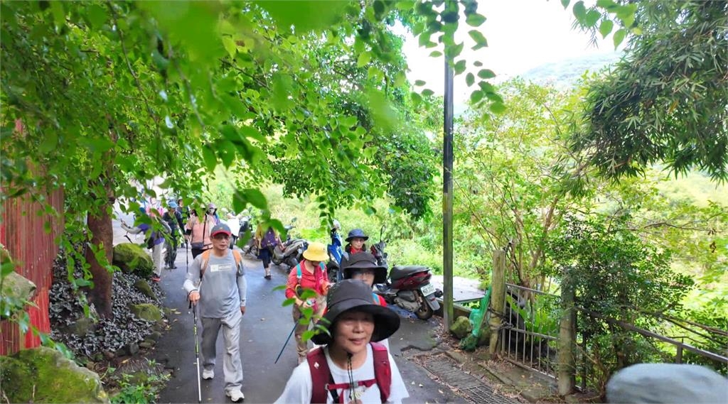 異言堂/聞「蜂」喪膽 登山搜救隊員遭虎頭蜂螫死 專家教自保之道