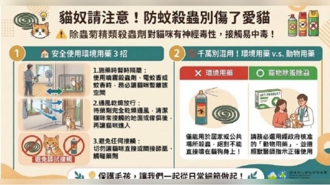 這款殺蟲劑恐傷喵星人！「天然除蟲菊精」對貓毒性較高　環境部出手