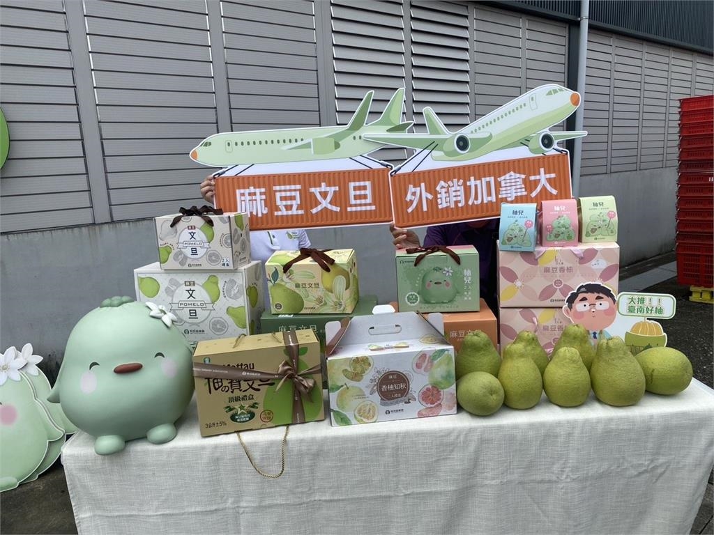 快新聞/台灣「這水果」出頭天了!竟一次打通1國家6大超市 強勢登陸美洲市場