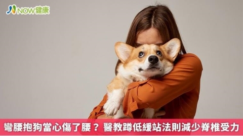 彎腰抱狗當心傷了腰? 醫教蹲低緩站法則減少脊椎受力