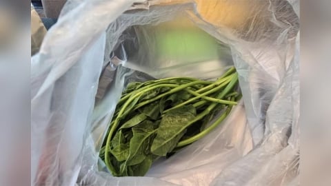 食藥署稽查蔬果農藥超標! 寒舍艾美、林酒店、饗泰多上榜