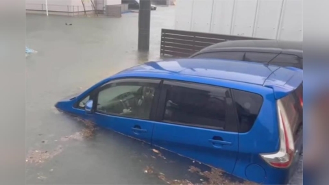 日本名古屋破紀錄暴雨200車泡水　117萬人緊急避難亞運受波及