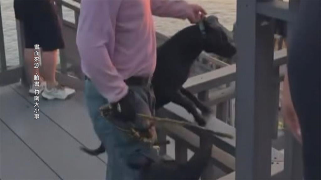 不滿被勸牽繩虐狗？　苗栗男狂抽打毛孩引眾怒