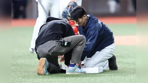 台北大巨蛋「老鼠亂入」暫停球賽　網友狂酸「耐鼠Play」遠雄發聲了