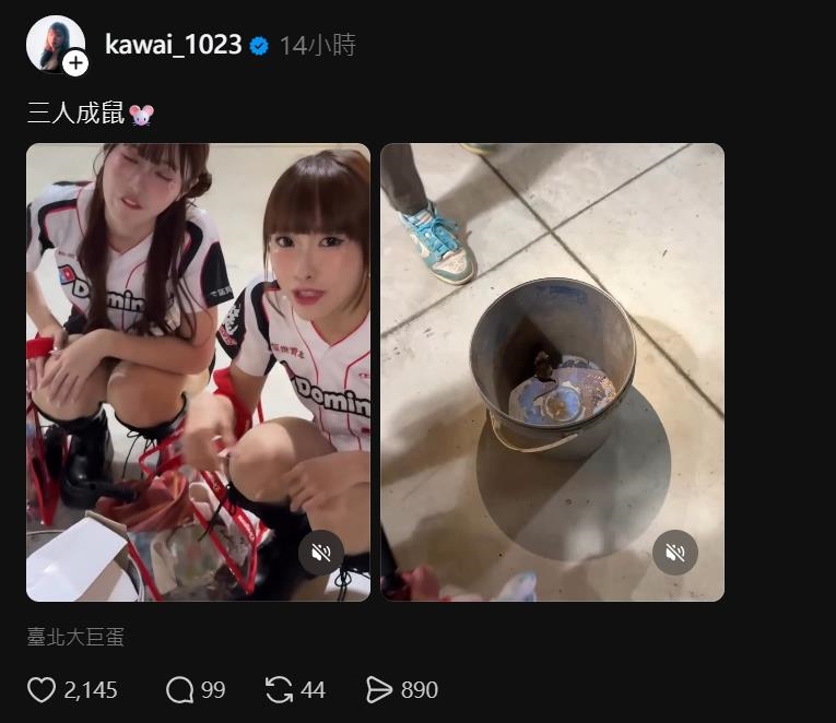 大巨蛋「奔馳米奇遭逮」網狂轟蔣萬安！下秒「啦啦隊女神遭它衝撞」畫面流出…網：嚇鼠