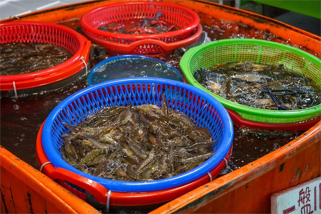 中秋海味攻略!東石烤蚵199元吃到飽 布袋買海鮮、集章抽好禮