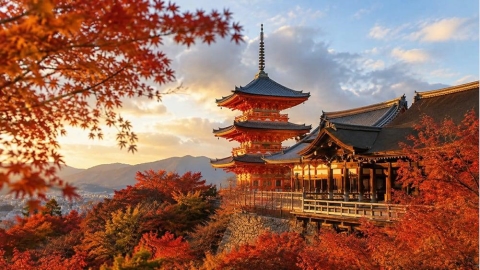 9月連假出遊怎麼準備?秋季海外旅行健康與行前規劃重點