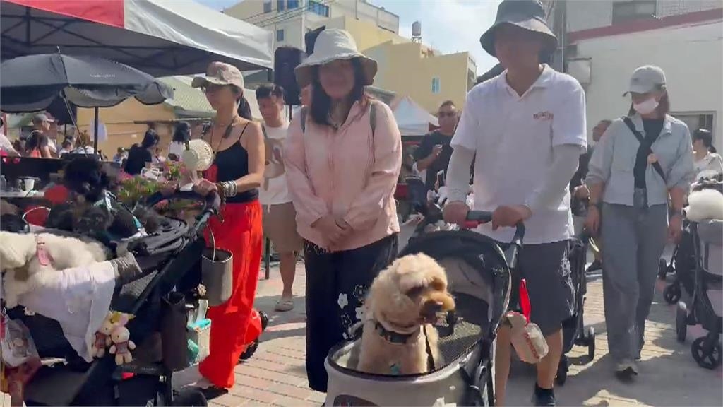毛孩總動員!北港義民廟"義犬將軍"遶境 率領百隻寵物上街祈福.募款