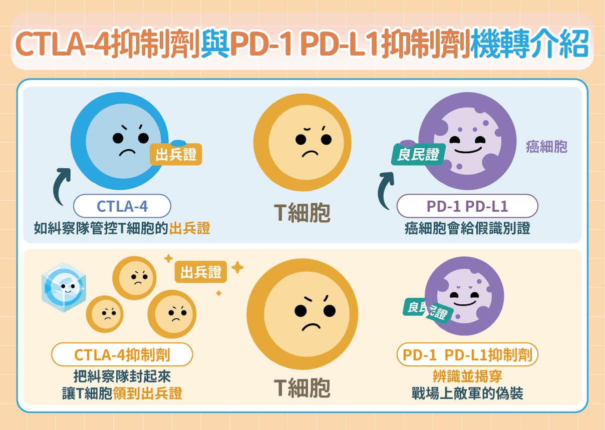 吞嚥卡卡別輕忽 小心!多數食道癌發現已晚期 醫曝:食道癌警訊、治療困境與免疫療法新突破