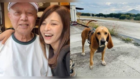 巴薩殉職1/搜救犬執勤遭雨傘節咬死 領犬員半夜奔中壢取血清
