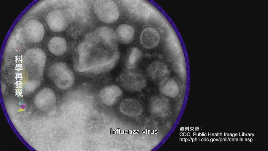 入秋流感好發季節 解碼H1N1