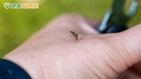 國內新增諾氏瘧境外移入!50多歲女遊馬來西亞染疫 醫揭重症風險
