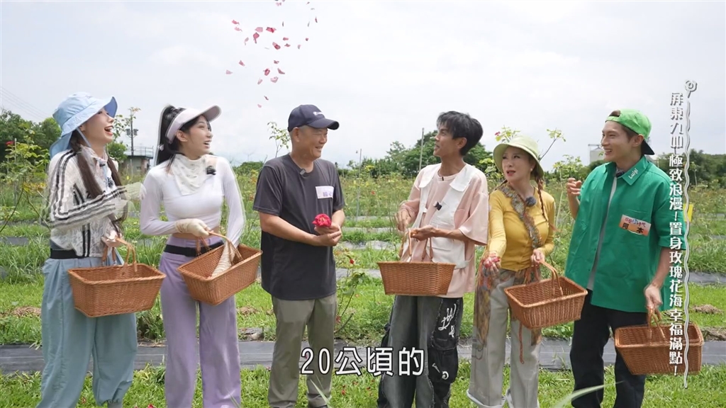 藝人們讚嘆老闆有占地20公頃的玫瑰花園
