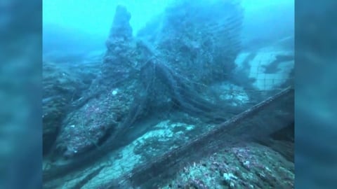 澎湖驚見「廢棄漁網」覆蓋一公里　水中生物難逃魔掌