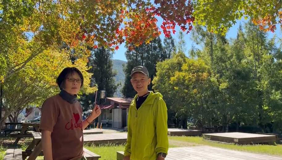 武陵農場迎賓楓提前轉紅! 遊客驚喜 感受秋意濃