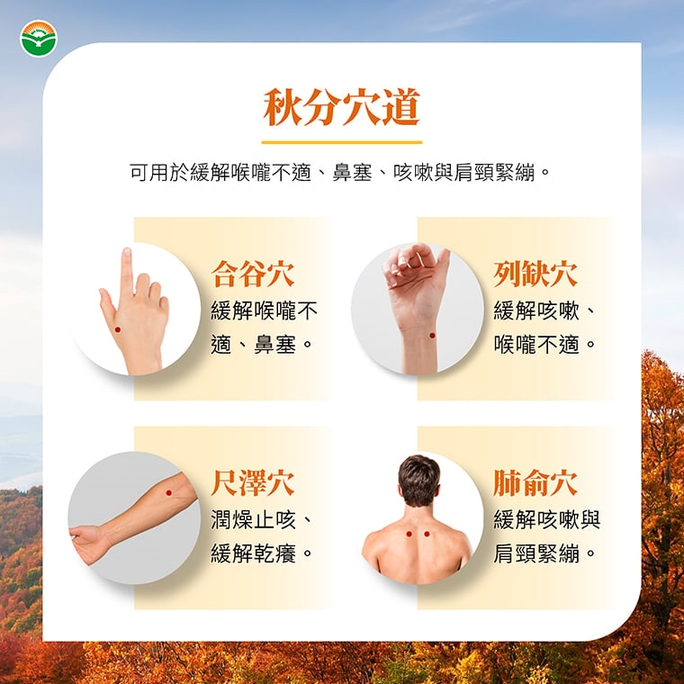 ▲秋分養生可按合谷、列缺、尺澤、肺俞4大穴位，幫助緩解換季時的不適。（圖／高慈婷中醫師提供）