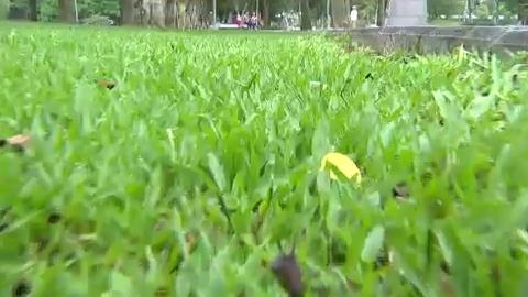 高鐵女趴男「猛傳吸允聲」遭笑吸毒液！醫急喊「遭蛇咬別用嘴」揭真相：這樣做恐更慘
