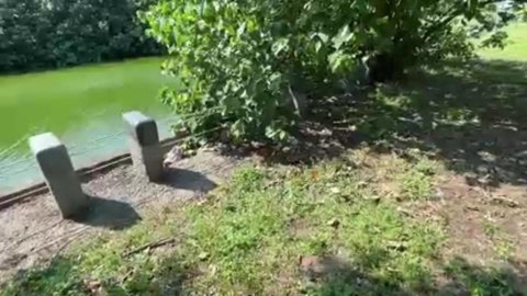 高鐵女趴男「猛傳吸吮聲」遭笑吸毒液!醫急喊「遭蛇咬別用嘴」揭真相:這樣做恐更慘
