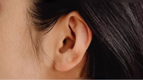 吃藥一個月無效!婦人耳鳴、沙沙聲 內視鏡一照超驚悚