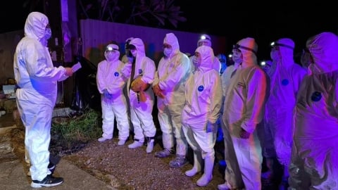 8年來首見！桃園驚傳爆發H5N1　急撲殺2500隻珍珠雞