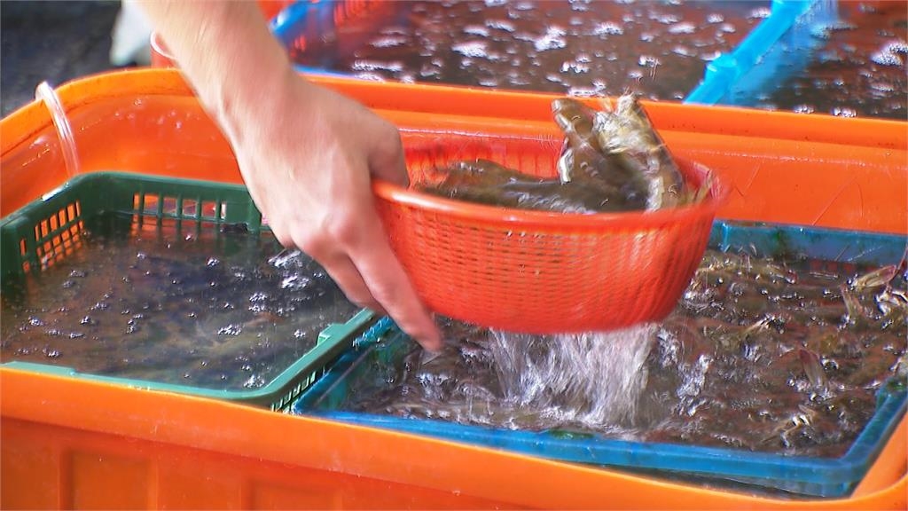 中秋烤肉預算大加碼! 花龍一斤2500、帶殼牡蠣整箱搶