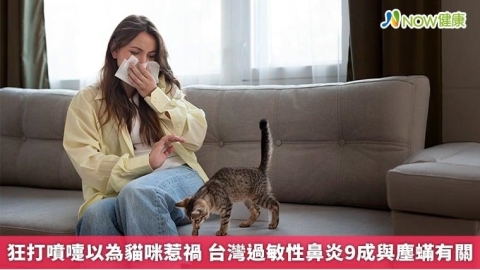 狂打噴嚏以為貓咪惹禍 台灣過敏性鼻炎9成與塵蟎有關