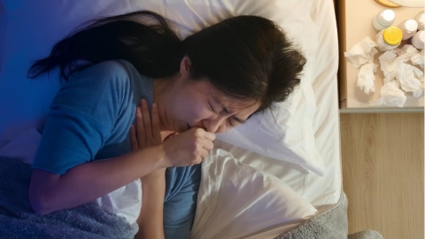 換季喉嚨乾癢、鼻子不舒服?認識呼吸道日常照護與3款森林系精油