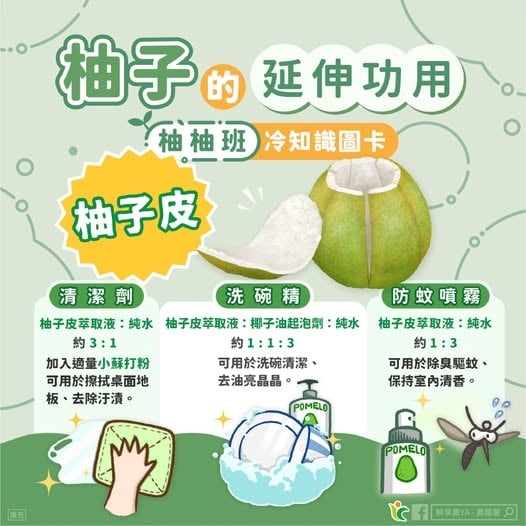  烤肉吃柚「皮」難處理…丟錯恐挨罰！行家曝「1招」變身生活好物