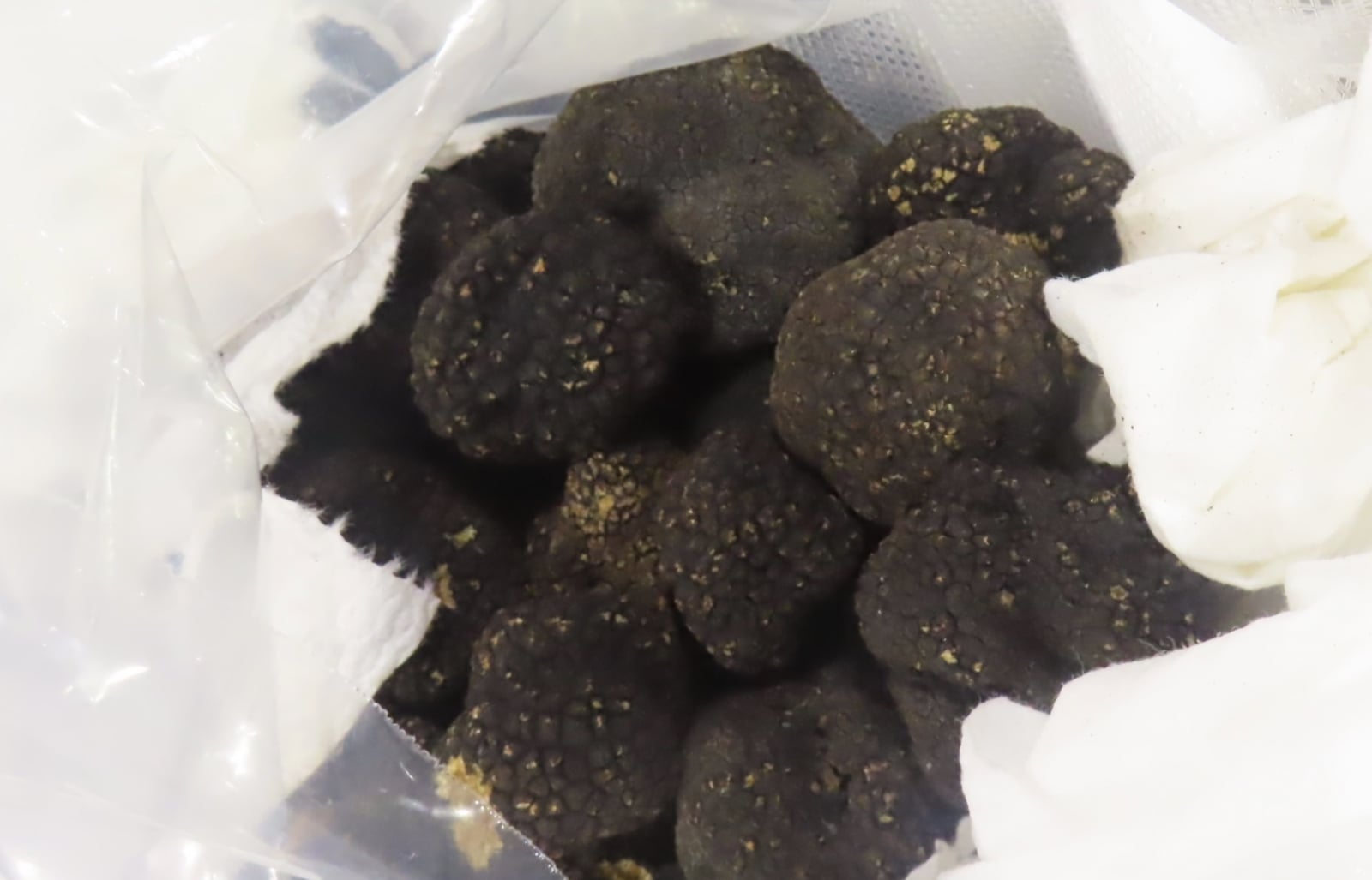 進口食品爆！4991公斤泰國必喝「燕窩即時飲」 食藥署逮違摻添加物 18