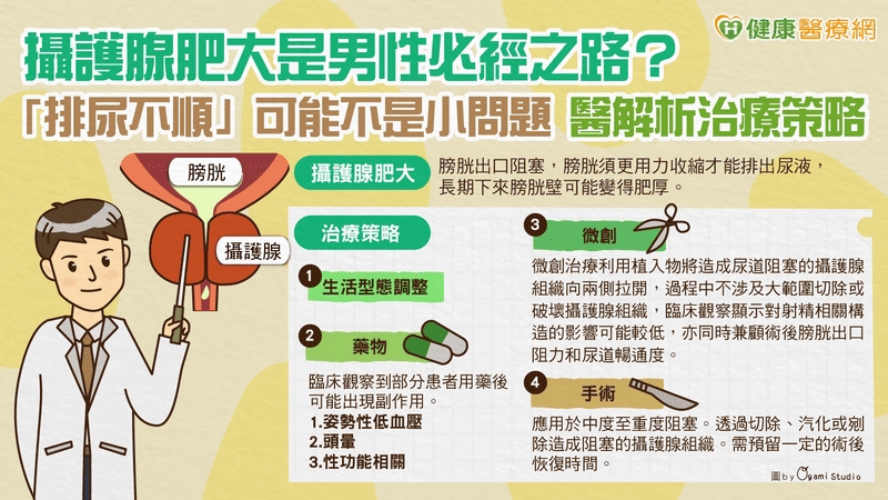 攝護腺肥大是男性必經之路?「排尿不順」可能不是小問題 醫解析治療策略