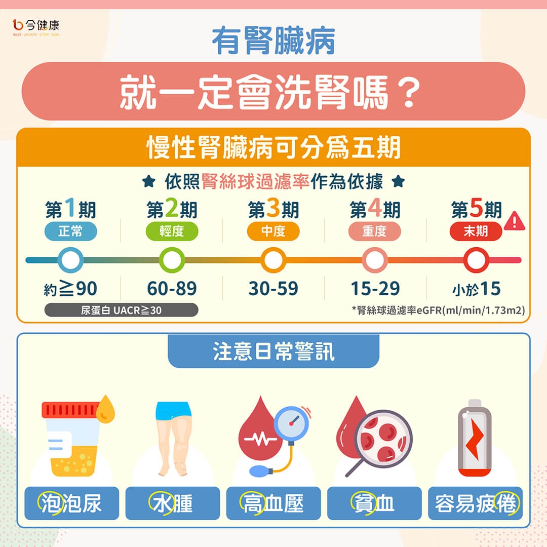 慢性腎臟病不等於洗腎!護腎之外別忘了保肌肉!醫揭飲食、運動這樣做
