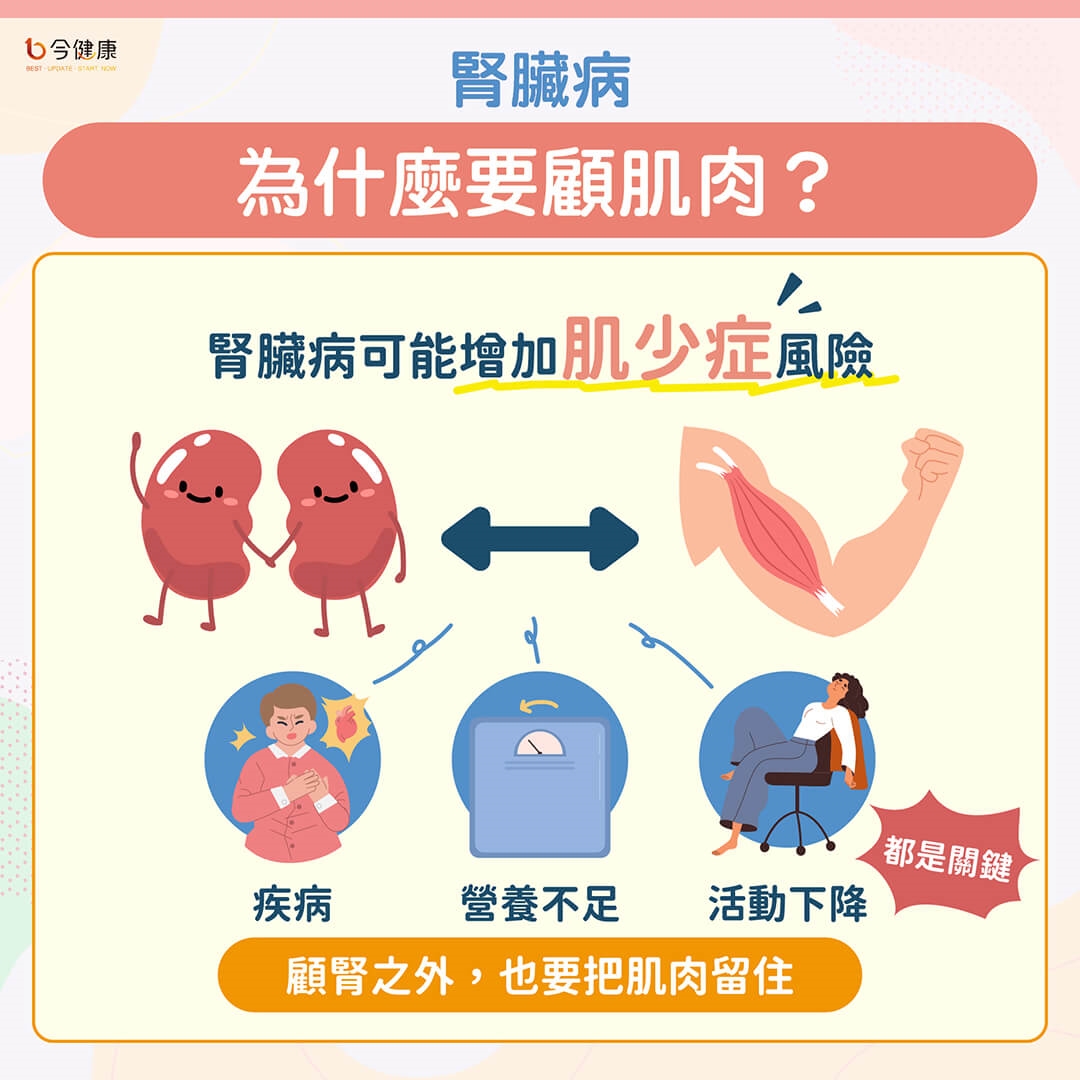 慢性腎臟病不等於洗腎!護腎之外別忘了保肌肉!醫揭飲食、運動這樣做
