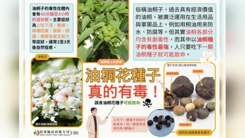 陽明山知名私校出事 6生誤食「油桐子」身體不適送醫