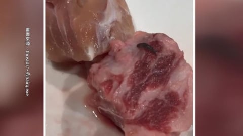 北車烤肉店驚見蛞蝓爬肉盤! 醫:誤食嚴重恐釀腦膜