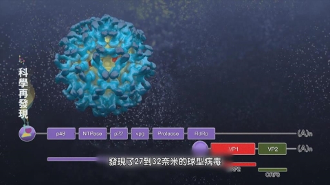 腸胃流感的抗爭 諾羅病毒不可輕忽!