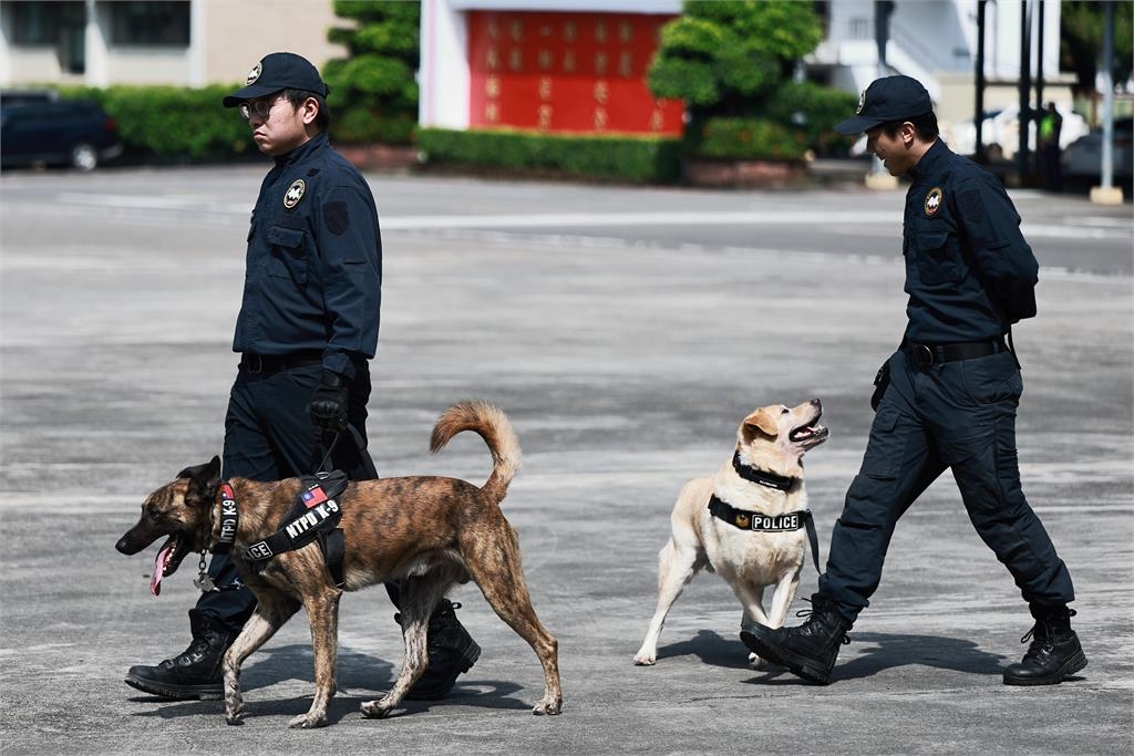 快新聞／超萌！「毛英雄」國慶亮相警犬大集合　緝毒偵爆、災區救人