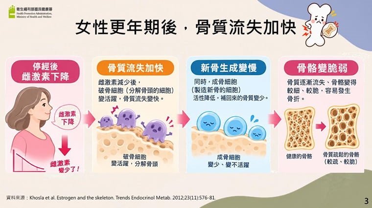 ▲女性更年期後骨質流失加快的成因。(圖/國民健康署提供)