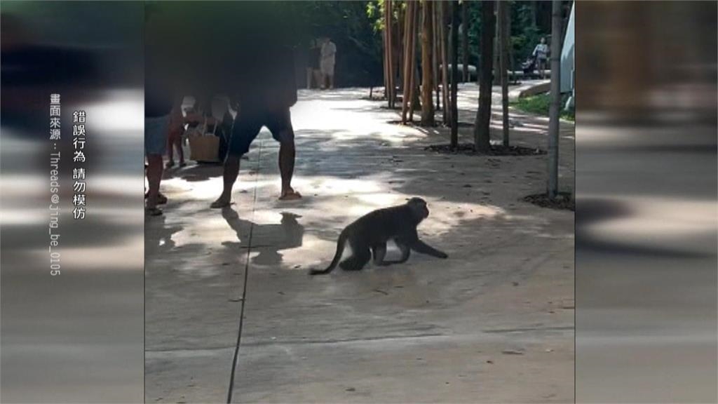 最壞身教! 壽山動物遊客小孩面前 拿雨傘打獼猴