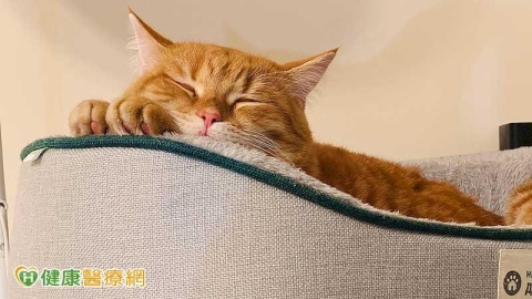 睡覺聽「粉紅噪音」可幫大腦清垃圾?研究揭關鍵 但先別急著照做