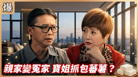 《豆腐媽媽-EP204精彩片段》親家變冤家 寶姐抓包蕃薯?