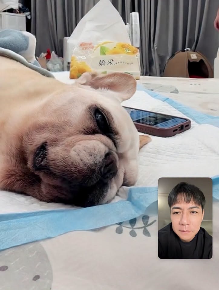 陳隨意「摯愛突病逝」才離開台灣!含淚「視訊道別」悲傷畫面曝:好好投胎