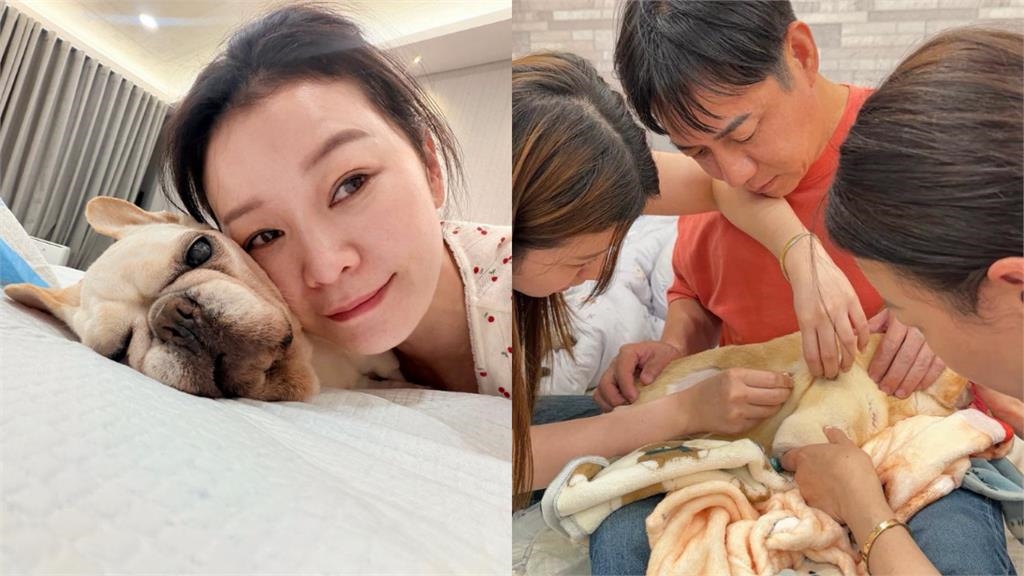 陳隨意「摯愛突病逝」才離開台灣!含淚「視訊道別」悲傷畫面曝:好好投胎